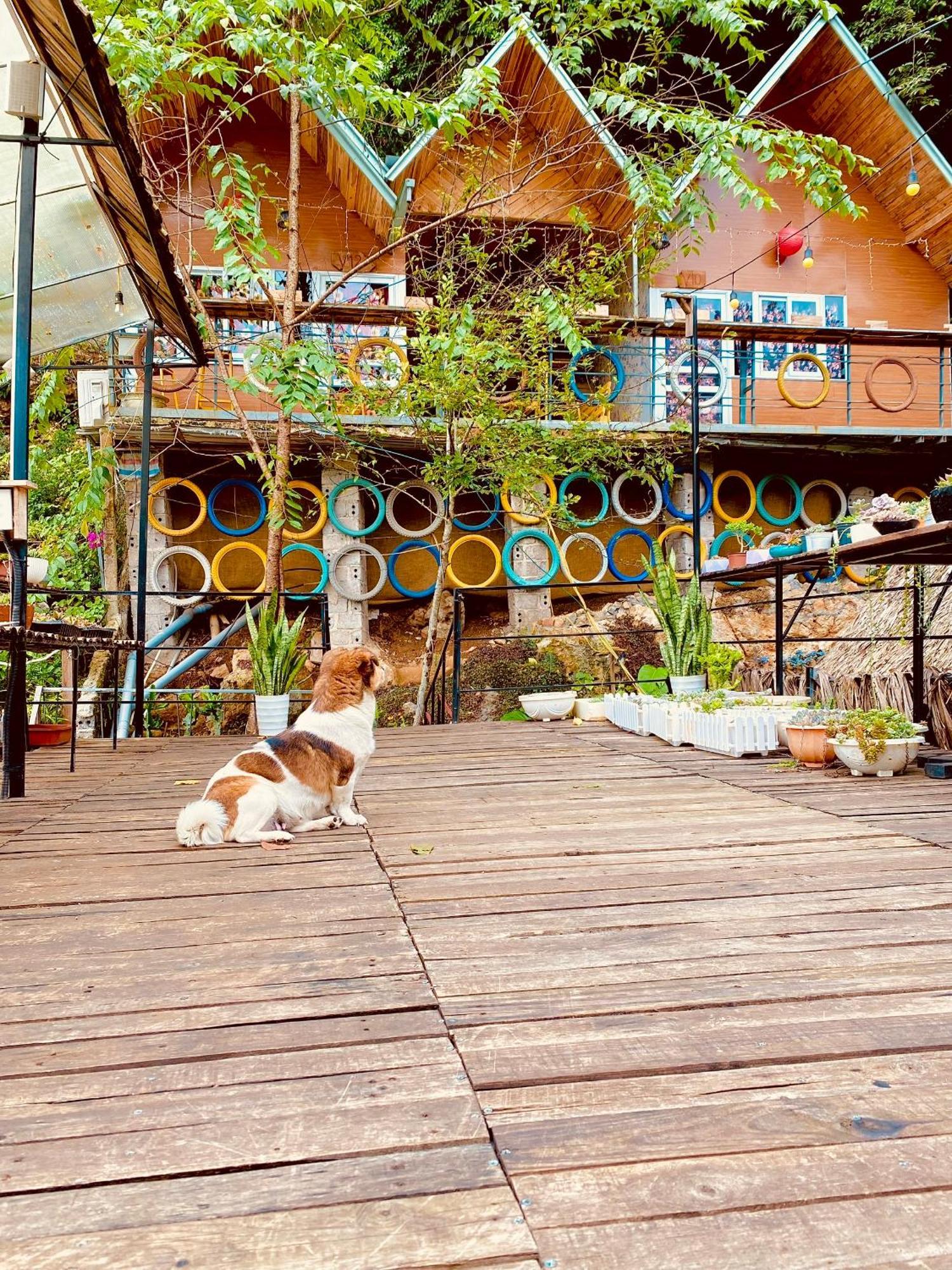 Homestay Gau Smile - Moc Chau Son La Екстериор снимка