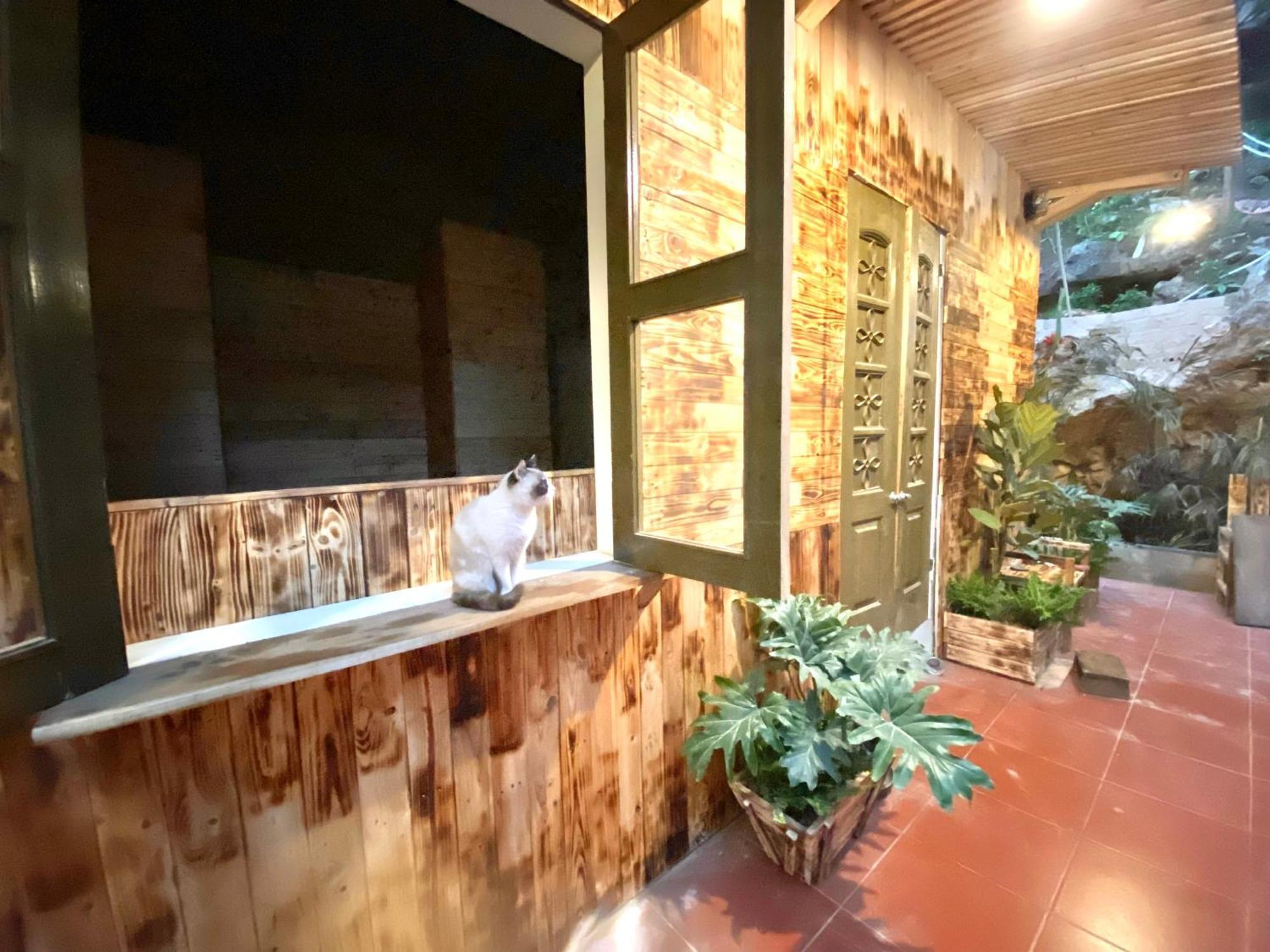 Homestay Gau Smile - Moc Chau Son La Екстериор снимка